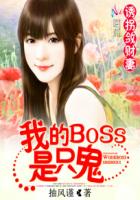 誘拐斂財(cái)妻：我的BOSS是只鬼